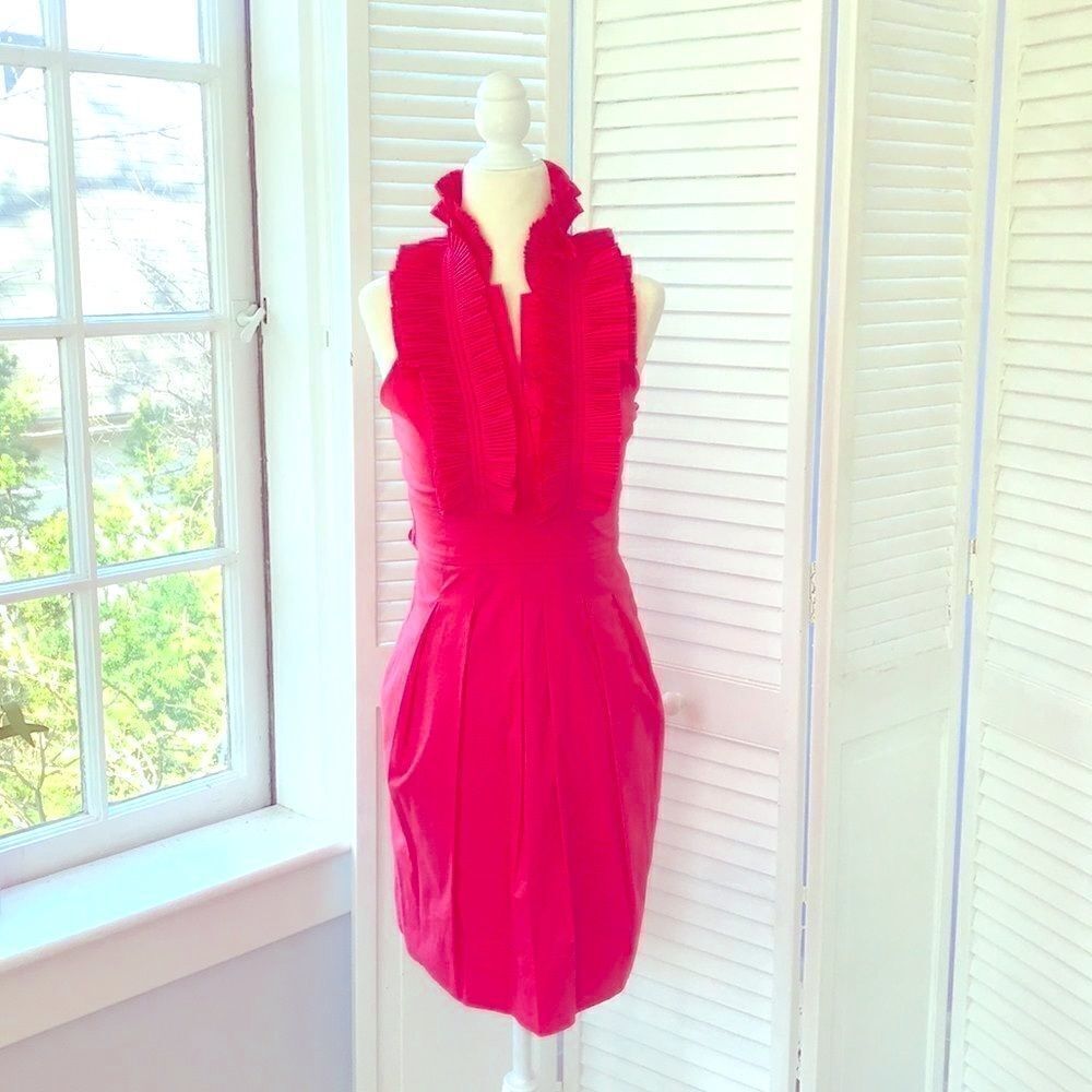 BCBG Maxazria Dress 